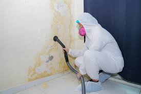 Best Biohazard Mold Removal in Westport, IN